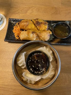 Two starters (~5€ each), both tasty, but I preferred the dumplings  at Gaia Garden in Gottingen