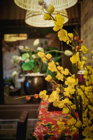 Goc Da – Authentisches vietnamesisches Restaurant ist ein kulinarisches Juwel im Herzen von Wiesbaden.  at Goc Da - Authentic Vietnamese Cuisine in Wiesbaden