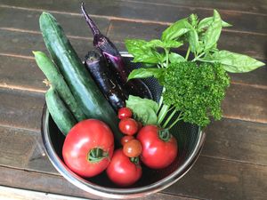 裏の畑で収穫した無農薬栽培の野菜を提供いたします。 at Lien Tono - 遠野一棟貸切の宿 in Tono