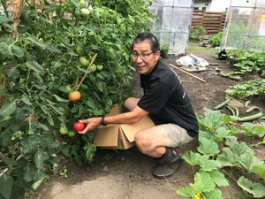 裏のハウスはトマトとバジル、キュウリを主に栽培しております。 at Lien Tono - 遠野一棟貸切の宿 in Tono