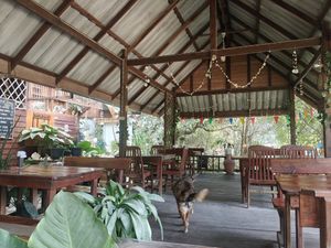  at Jansom 2 in Ranong