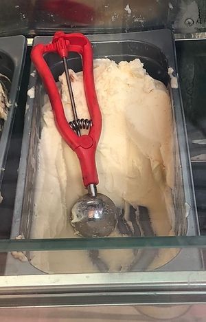 Mango  at Nakhati in Dubai