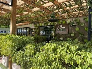 Entrance   at Clover Coffee + MarketPlace in Oranjestad