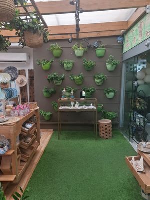  at Clover Coffee + MarketPlace in Oranjestad