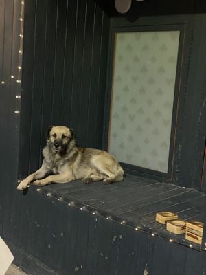   at White Rabbit  in Lamezia Terme