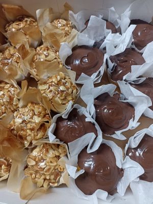  at Rir Sol Bio in Alcobaca