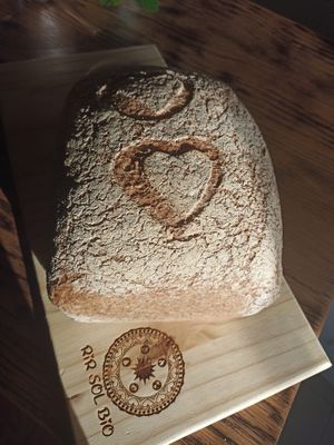  at Rir Sol Bio in Alcobaca