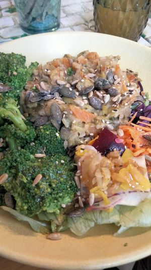  at Rir Sol Bio in Alcobaca