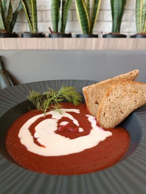 Hot creamy beetroot, dill and chestnut yogurt soup at Kantina Prestes in Natal