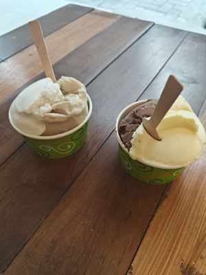 Vegan Gelato at L'arte del Gelato in Santa Teresa