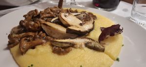 Polenta con finferli e porcini at Hotel Dolomiten Ristorante Pizzeria in Dobbiaco