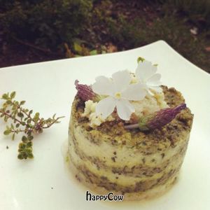 almond nut cheese with kale pesto at Graze in Vancouver