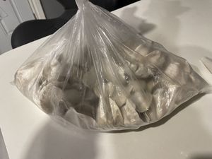 Frozen dumplings I bought to bring homee  at Homemade Vegan Dumpling House  in New York City