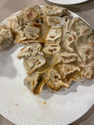 Dumplings I fried up at home 😋  at Homemade Vegan Dumpling House  in New York City