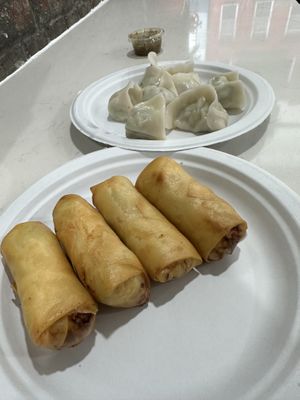  #Veganuary at Homemade Vegan Dumpling House  in New York City