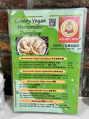  #Veganuary at Homemade Vegan Dumpling House  in New York City