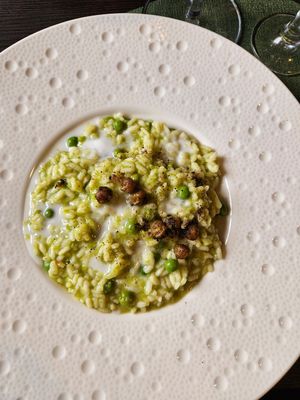 Risotto al pesto di piselli, zenzero con latte  di cocco e feci spezzati at Alchimia Vegetale in Pontassieve