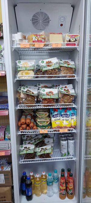  at Loving Hut-Dalanzadgad in Dalanzadgad