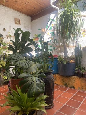   at El Jardín de Jardín in Jardin