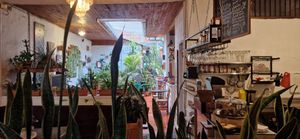  at El Jardín de Jardín in Jardin