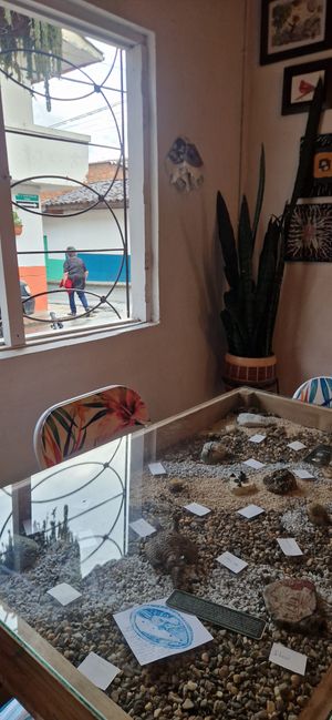  at El Jardín de Jardín in Jardin