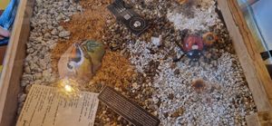  at El Jardín de Jardín in Jardin