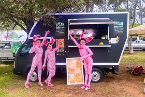 Vegan Streetfood Truck – Earthdance at Vegan Streetfood ZA - Food Truck in Cape Town