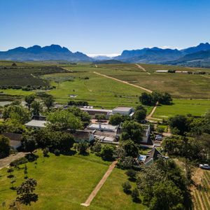 Birds Eye view of Neethlingshof Wine Wstate at Vegan Tours Cape Town in Cape Town