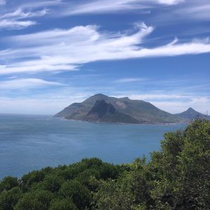  at Vegan Tours Cape Town in Cape Town