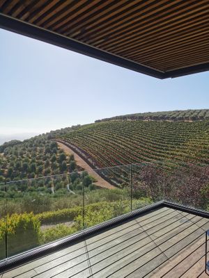   at Vegan Tours Cape Town in Cape Town