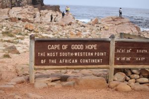  at Vegan Tours Cape Town in Cape Town