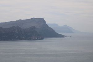  at Vegan Tours Cape Town in Cape Town