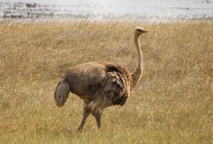  at Vegan Tours Cape Town in Cape Town