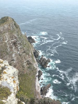  at Vegan Tours Cape Town in Cape Town