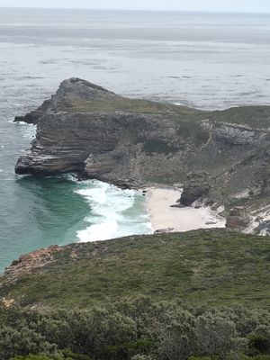  at Vegan Tours Cape Town in Cape Town