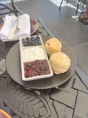   at Vegan Tours Cape Town in Cape Town