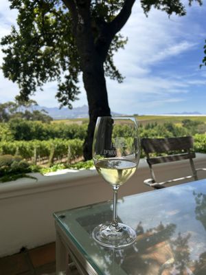   at Vegan Tours Cape Town in Cape Town