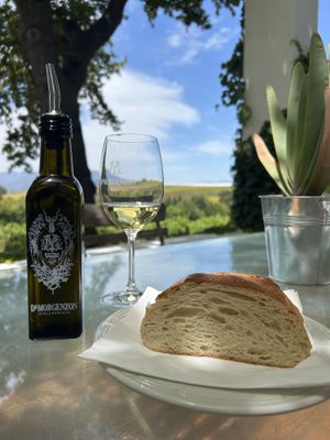   at Vegan Tours Cape Town in Cape Town