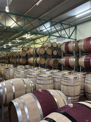   at Vegan Tours Cape Town in Cape Town