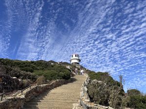   at Vegan Tours Cape Town in Cape Town