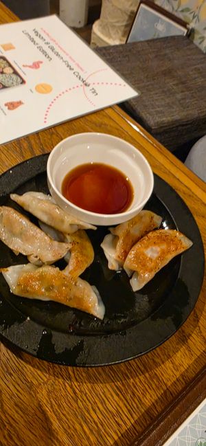 Gyōza at Vegan and Gluten Free Osaka. - The Second Room Cafe in Osaka