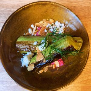   at Planttrekkerij  in Antwerpen