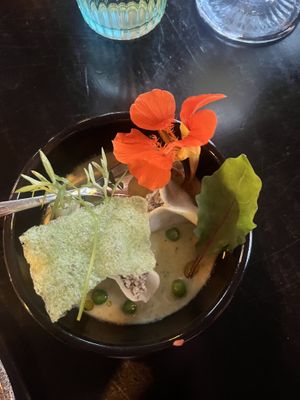   at Planttrekkerij  in Antwerpen