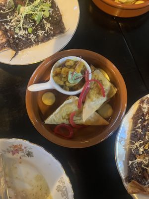   at Planttrekkerij  in Antwerpen