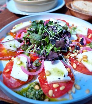 Tomaat 'mozarella' at Planttrekkerij  in Antwerpen