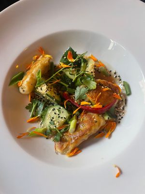   at Planttrekkerij  in Antwerpen