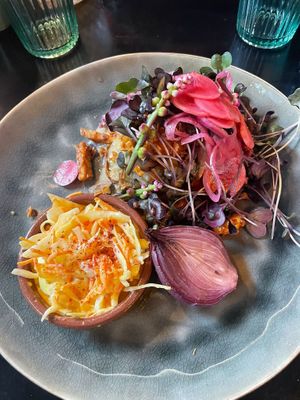   at Planttrekkerij  in Antwerpen