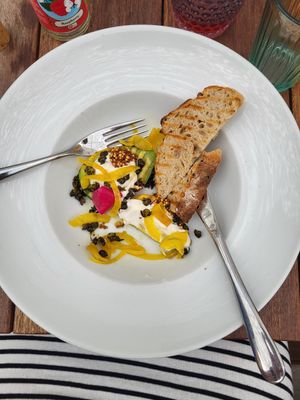  at Planttrekkerij  in Antwerpen