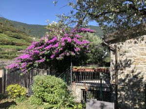  #Veganuary at Chiosco del Sole Volastra in Riomaggiore