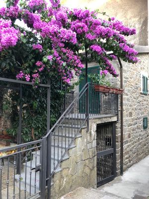  #Veganuary at Chiosco del Sole Volastra in Riomaggiore